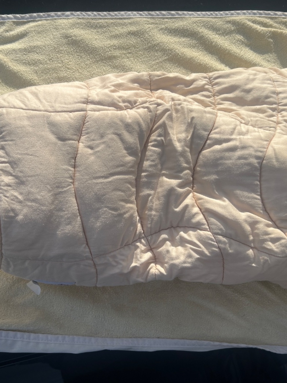 Ergobaby Infant Insert - Picture 4 of 4